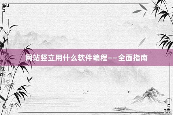 网站竖立用什么软件编程——全面指南
