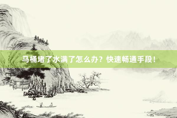 马桶堵了水满了怎么办？快速畅通手段！