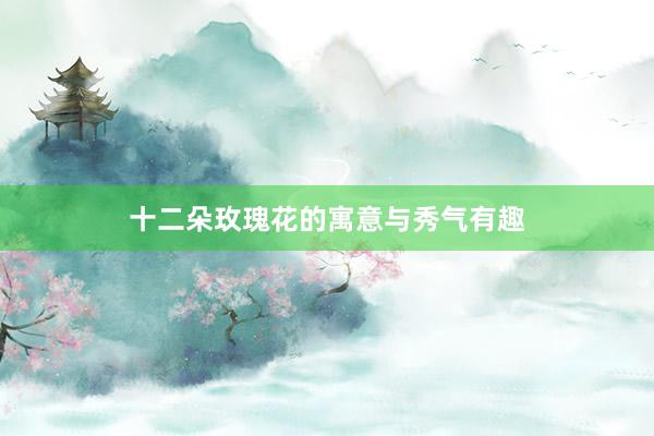 十二朵玫瑰花的寓意与秀气有趣